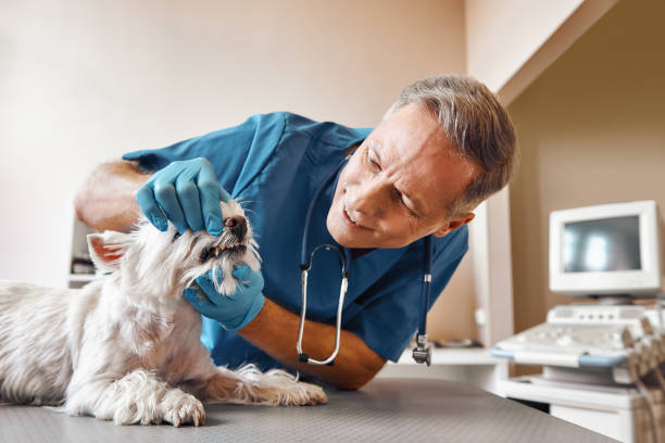 Best Emergency Dental Care for Trauma or Injury in Warson Woods, MO